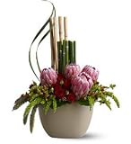 Teleflora's Zen Protea
