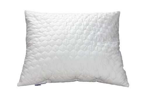 Badenia Bettcomfort 03875289123 Kissen Kochfest 80 x 80 cm