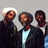 Image of Midnite