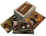 A Night At the Museum / Jumanji 4 Disc Collection with T-Rex Skeleton & Jumanji Trading Cards