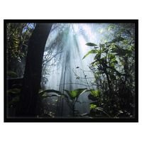 8FT Diagonal Accuscreens Ntsc Fixed Soundscreen Matt White