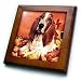 Basset Hound - 8x8 Framed Tile
