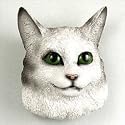 Maine Coon Silver Tabby Magnet