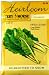 Heirloom Seeds: Swiss Chard Large Ribbed Dark Green