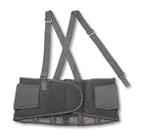 Ergodyne ProFlex 100 Back Support; Color: Black; Waist Size: 25 to 30 in.; Belt Size: Small