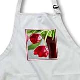 RedTulips and Vase - BLACK Full Length Apron With Pockets 22w X 30l
