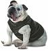 Doggie Skins Tank Top - 3902