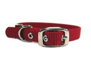 Single Thick Nylon Deluxe Dog Collar, 5/8