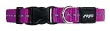 Rogz Reflective 5/8-Inch Snake Dog Collar, Small to Medium, Purple