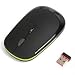 TOPDIGI 3500K Wireless Slimline USB Mouse For Laptops/Desktop PC XP/Vista/Windows 7 - BLACK in frosted surface