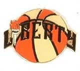 New York Liberty WNBA Basketball Pin