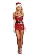 Red Hot Holiday Costume