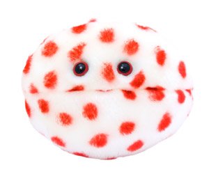 Giant Microbes Measles (Morbillivirus) Educational Plush Toy 31s7FgG5QAL Giant Microbes Measles (Morbillivirus) Educational Plush Toy