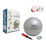 66FIT GYM BALL WITH PUMP & DVD - SILVER - 65CM