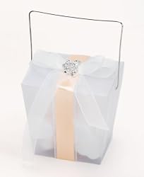 Frosted Asian Take Out Boxes