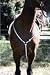 Flashing LED Horse Martingale