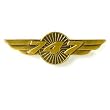 747 Wings Pin