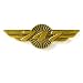 747 Wings Pin