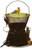 Bird Feeder, No No Forest Green Hourglass Feeder