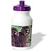 Dogs Irish Water Spaniel - Irish Water Spaniel - Water Bottles