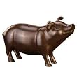 Happy Pig, Piggy Bank