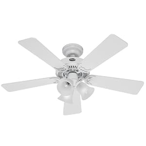 Hunter 20176 Southern Breeze 42-inch 5-blade 3-light Ceiling Fan