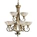 Moonflower Two-Tier Chandelier by Kichler