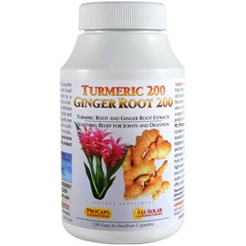 Turmeric 200 Ginger Root 200 60 Capsules