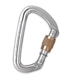 Black Diamond Quicksilver Screwgate Carabiner One Color, One Size