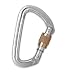 Black Diamond Quicksilver Screwgate Carabiner One Color, One Size