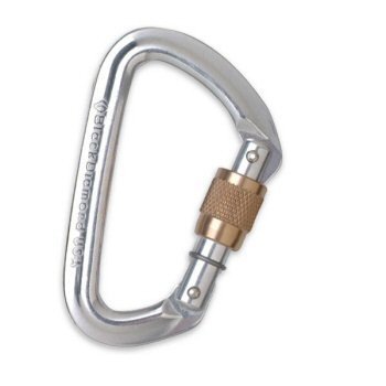 Black Diamond Quicksilver Screwgate Carabiner One Color  One Size