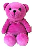 GOOD IDEAS PURPLE HOTTY BOTTY BEAR (507) - Sleep snug and warm with this microwavable Hotty Botty Bear!!