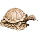 Tools & Hardware : Beckett #7150010 Turtle Pond Art Spitter