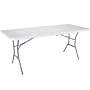 Lifetime 6ft Light Folding Trestle Table