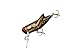 Rebel Lures Crickhopper Cricket / Grasshopper Crankbait Fishing Lure, 1 1/2 Inch, 1/4 Ounce, Black Cricket, Crickhopper (3/32 oz)