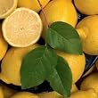 lemon flavor powder