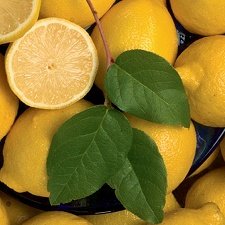 lemon essential oil