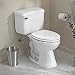 All-In-One Dual Flush High Efficiency Toilet