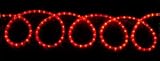 LED Rope Multicolored Party Outdoor Light 10m IP44 22W
