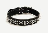 Coastal 22 inch Black 1.5 inch Double Spike Collar