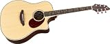 Breedlove Atlas Stage D25 / SR Acoustic Electric Guitar - B001GFD1E0