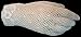 Cotton Crochet Shortie Gloves in White