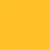 Rick Steves Travelin'  9-Inch Toiletries Kit, Yellow
