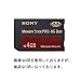SONY �������[�X�e�B�b�N PRO-HG �f���I1GB MS-EX1G