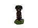   - Mini Bobble Head Dog Rottweiler