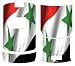 Syria for Motorola RAZR V3