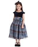 Sweet Heart Rose Little Girl Metallic Dress