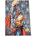 Large Superman Blanket Royal Throw : Twin size