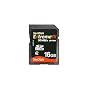 SanDisk 16gb Extreme� III 30MB/s Edition SDHC High Performance Card