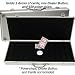 650 Capacity Chip Case - Executive Aluminum Hard Side